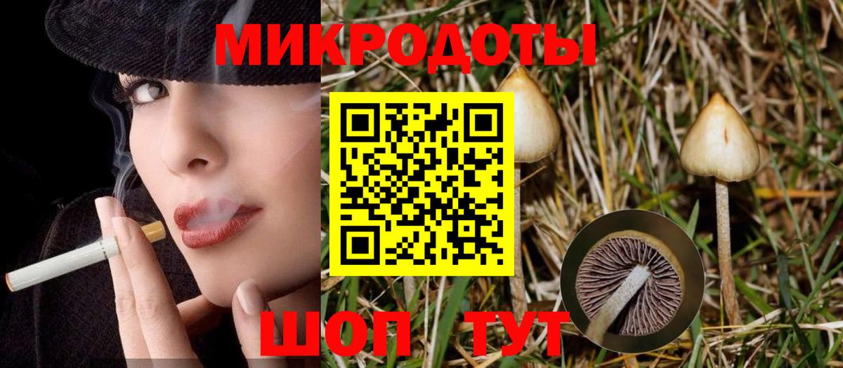 Псилоцибиновые грибы прущие грибы  Вход с VPN  Набережные Челны 